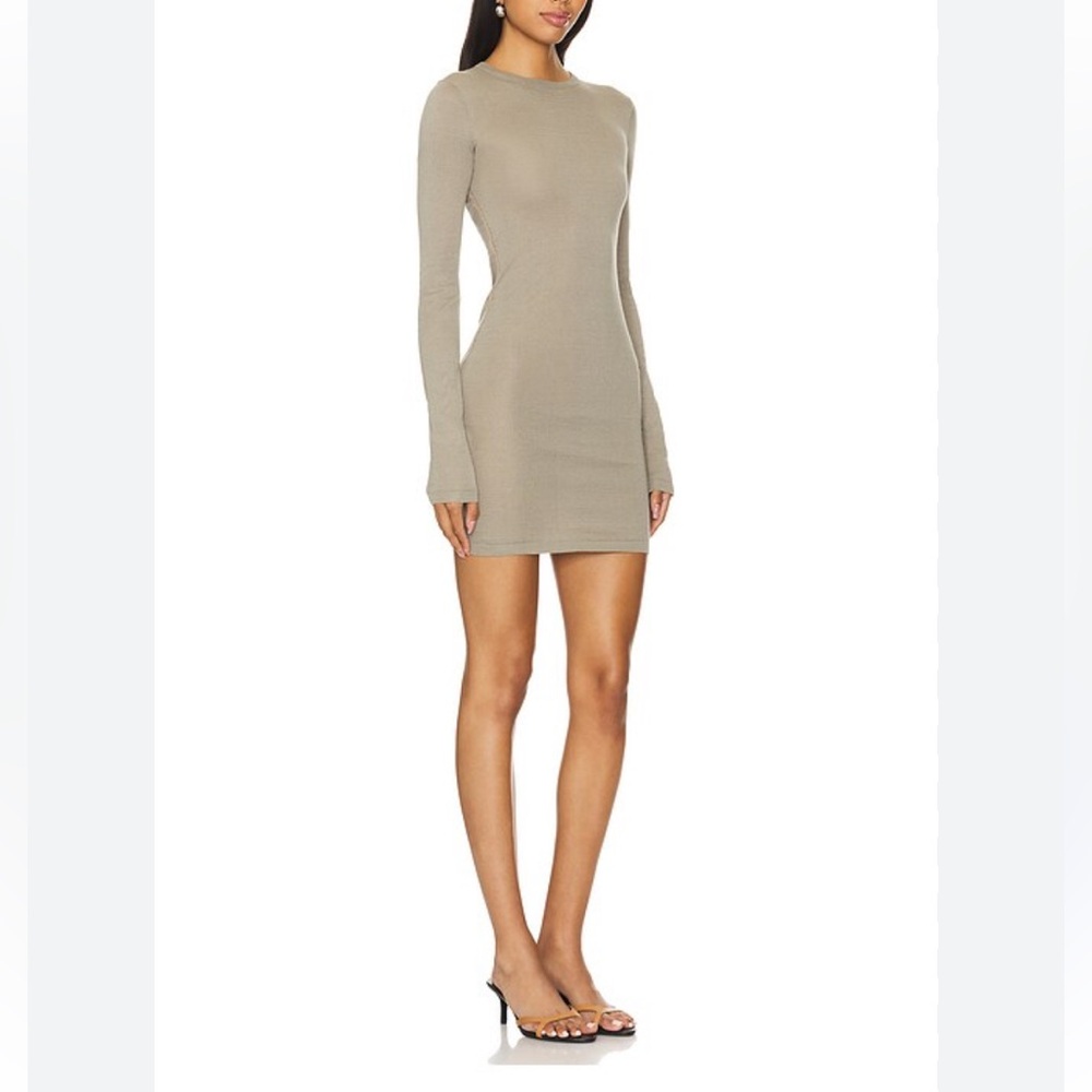BCBGMaxAzria sheer Bodycon long sleeve NWT
